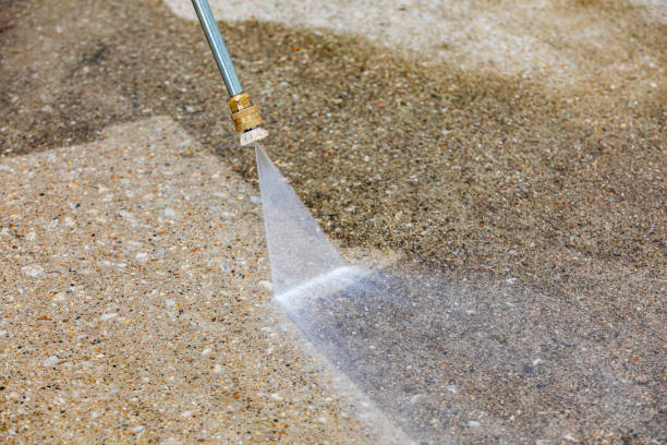 Best Driveway Pressure Washing  in Sarasota Springs, FL